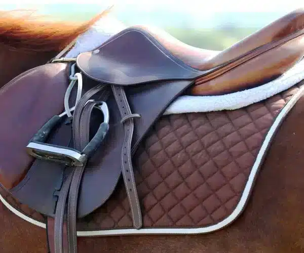 How to Choose the Right Saddle for Australian Riders: A Beginner’s Guide