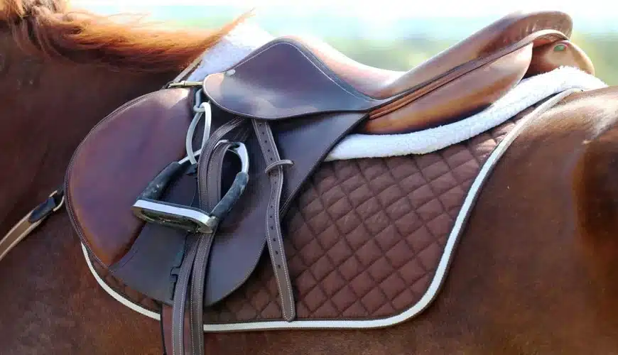 How to Choose the Right Saddle for Australian Riders: A Beginner’s Guide