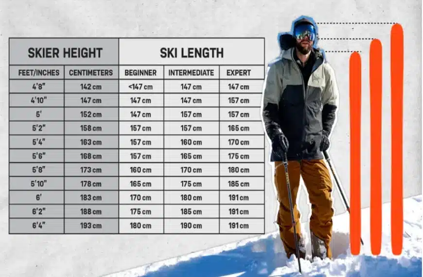 Ski Length Chart by Height and…