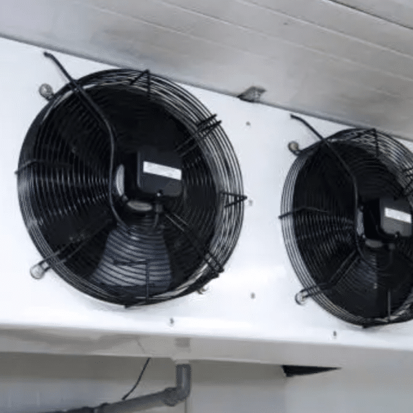 For Commercial Refrigeration Applications: EC Axial Fan Cold Store and Save Space and Energy
