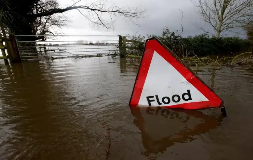 From Crisis to Clean: A Complete Guide to Water Disaster Recovery