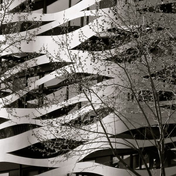 The Modern Lagoon: Embracing Dark Finishes and Organic Curves for a Biophilic Retreat