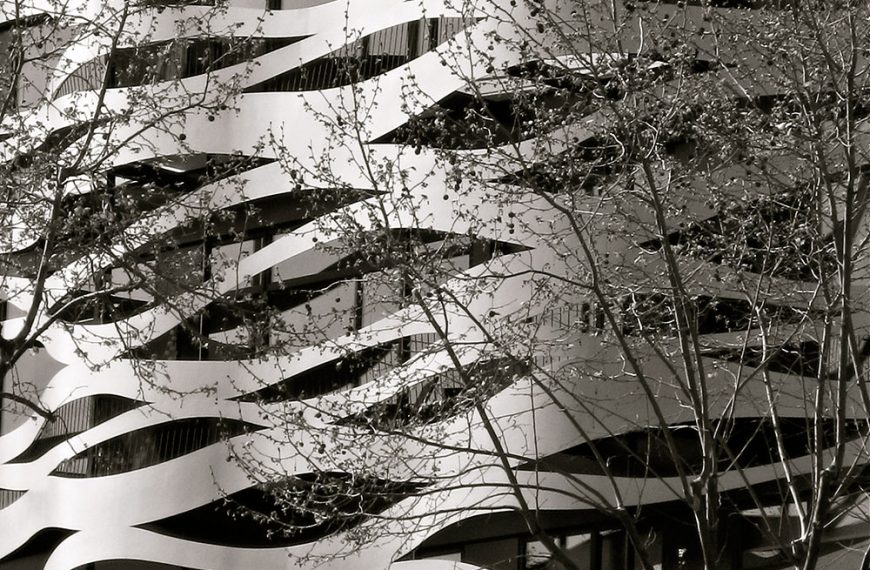 The Modern Lagoon: Embracing Dark Finishes and Organic Curves for a Biophilic Retreat